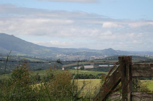 FERA_2009 161.jpg